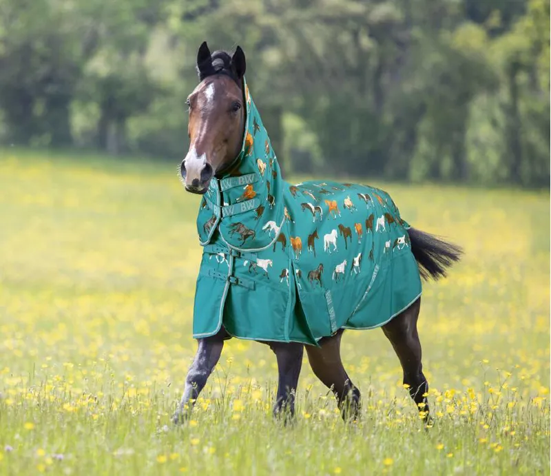 Bridleway Ontario Combo Turnout Rug 220g in the Horse Breed Design